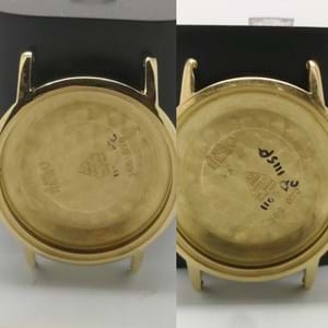 Ricostruzione Anse Omega Geneve